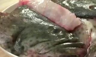 石斑鱼怎么做法好吃 石斑鱼怎么做法好吃