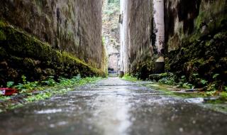 看见味道的你电视剧 看见味道的你电视剧