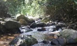 清明节去哪玩比较好