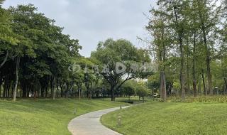河南南阳遭遇极端暴雨 河南南阳遭遇极端暴雨