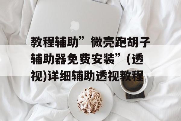 教程辅助”微壳跑胡子辅助器免费安装”(透视)详细辅助透视教程