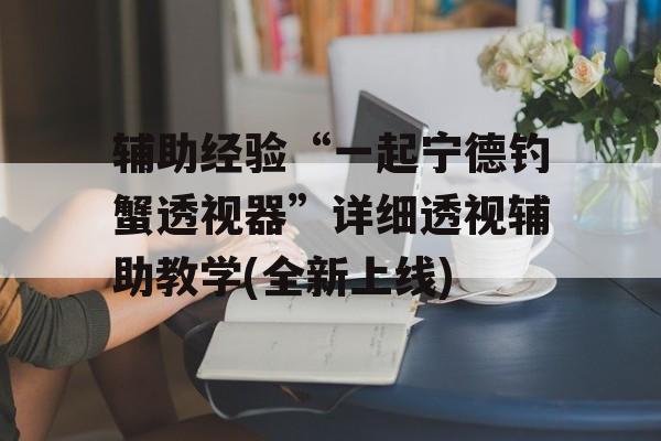辅助经验“一起宁德钓蟹透视器”详细透视辅助教学(全新上线)