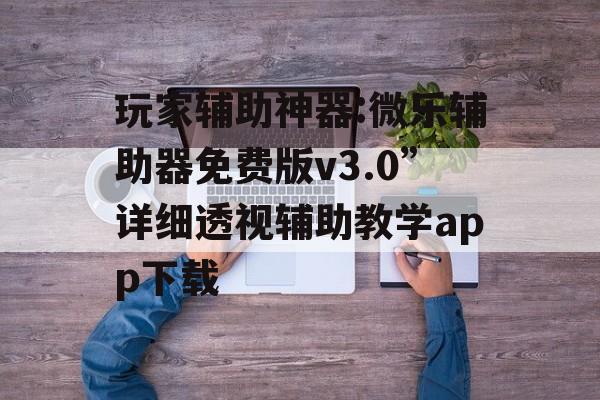 玩家辅助神器:微乐辅助器免费版v3.0”详细透视辅助教学app下载