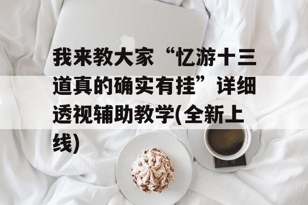 我来教大家“忆游十三道真的确实有挂”详细透视辅助教学(全新上线)