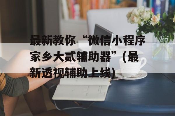 最新教你“微信小程序家乡大贰辅助器”(最新透视辅助上线)
